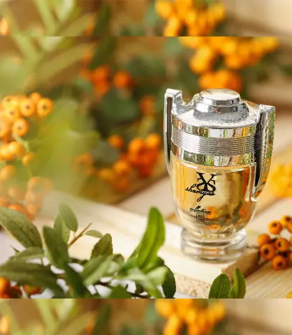عطر مینیاتوری ادوپرفیوم رایحه اینوکتوس پاکو رابان طبع خنک چوبی برند شمیاس 25 میل